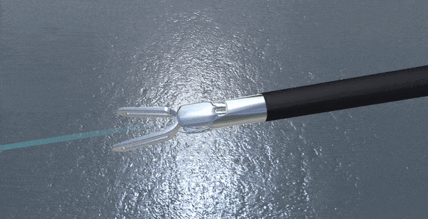 ../../_images/forcep_solver.gif
